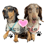 ayumi_20200407052304