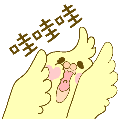 Parakeet at the heart(Taiwanese)