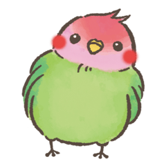 mild-Parakeet