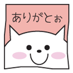 Words of white cat Kobe