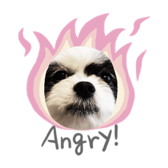 chiitan_20200407133243