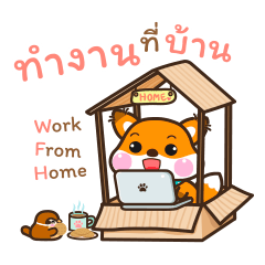 "The fluffy fox" work from home