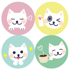 White cat in a colorful circle