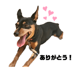 nanami_20200406170239