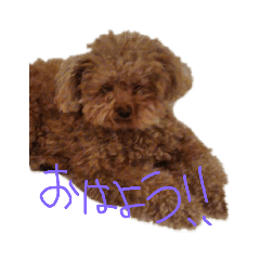 hayato_20200407170851