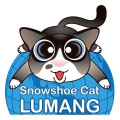 Snowshoe Cat Lumang (ENG)