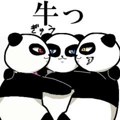 Funny panda three brothers.