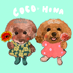 COCO&HINA Aset