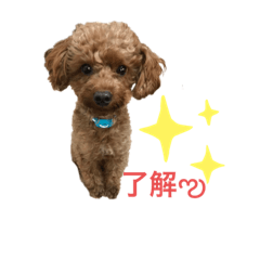 arisa_20200407191958