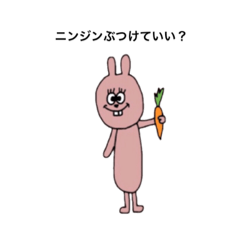 rabbit   everyday !