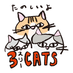 3 cute cats.