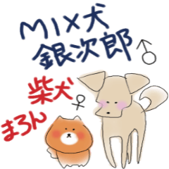 The dog   Ginjiro&Maron