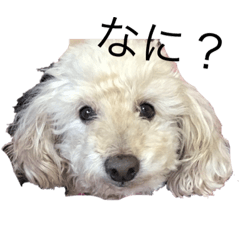 Asuka_20200407162629