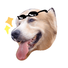 肥特輯