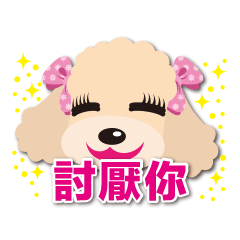 Tsundere Toy poodle Taiwan ver.