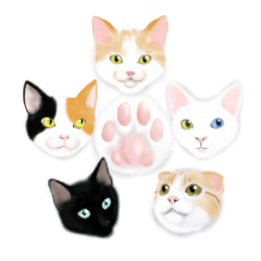 甜美可愛的5隻貓