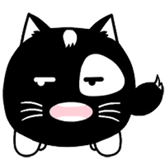 Lovely Black Cat