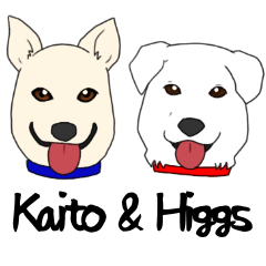 Kaito & Higgs