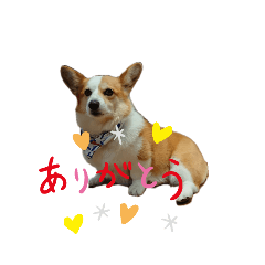 hiyori_20200407231759