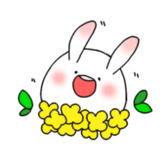 mochi mochi white rabbit life