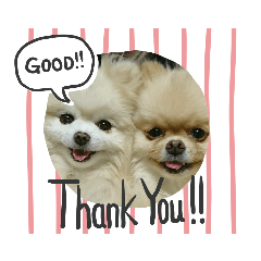 sally_20200408024255