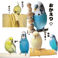 インコ Lineクリエイターズスタンプまとめ Stamplist Part 2