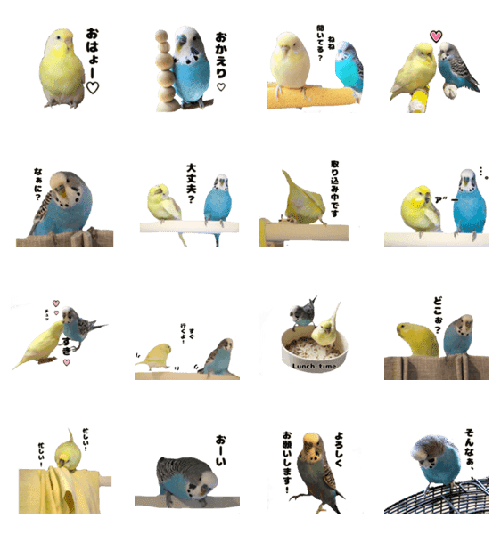 Kawaiiインコちゃん S Lineクリエイターズスタンプ Stamplist