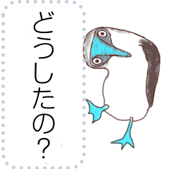 patas azuis de aves 6
