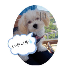 omochi_20200408090839