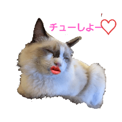 alice_20200408144033