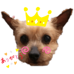 Junko_20200408134558