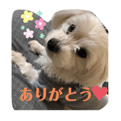 Rina_20200408135435