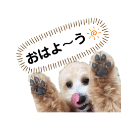 sally_20200408152712