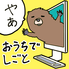 Beaver working remotely at home