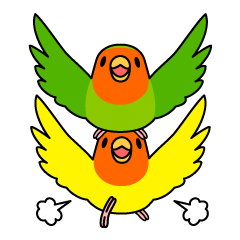 Peach-faced Lovebird "Kozakura-chi"