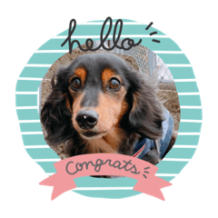 cocoa_20200408190226