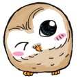 A little cute OWL