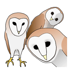 Scary Cute Barn Owl Line Stickers Line Store