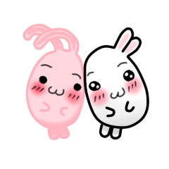 Red and white bun rabbit, Beni and Shiro