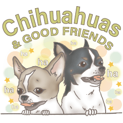 Chihuahuas & GOOD FRIENDS