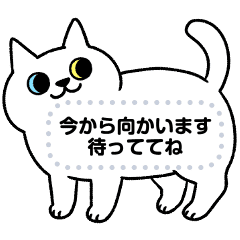 猫好きのためのメッセージスタンプ Line スタンプ Line Store