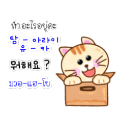 แมวน้อย สอนภาษาเกาหลี TH-KR THAI-KOREA