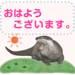 Message card of the otter