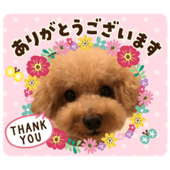 Risa_20200408211833