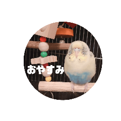 Omochi_20200408210854