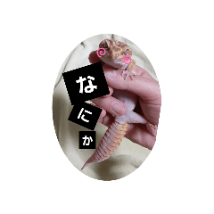 kazumi_20200408215507