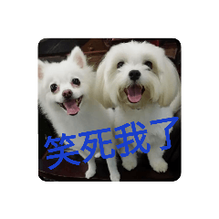 妹妹可愛，可愛妹妹