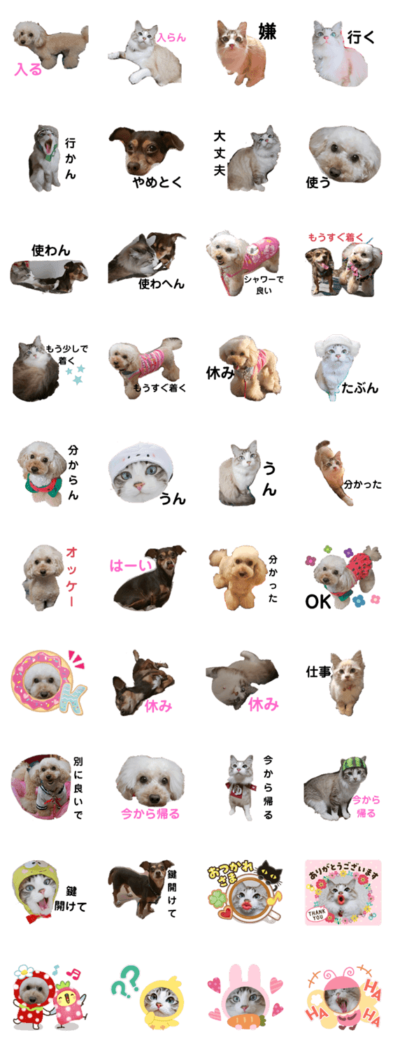 可愛い愛犬 愛猫シリーズ Lineクリエイターズスタンプ Stamplist 可愛い愛犬 愛猫シリーズ Lineクリエイターズスタンプ Stamplist