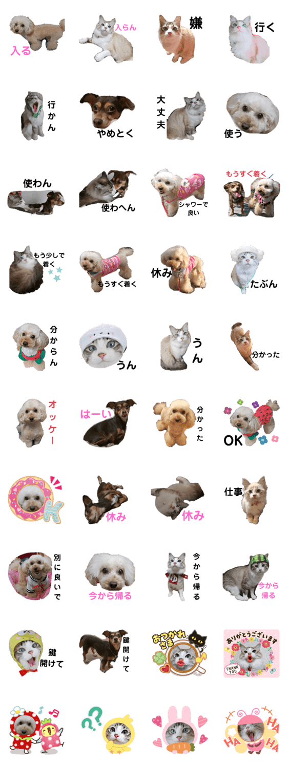 可愛い愛犬 愛猫シリーズ Lineクリエイターズスタンプ Stamplist