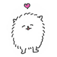 white pomeranian and friends